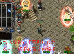 散人传说:千万别打我怎么打?新手必看攻略解析 散人传说:千万别打我怎么打?新手必看攻略解析