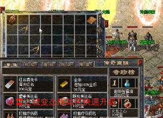 冰雪之城变态版如何快速升级? 冰雪之城变态版如何快速升级?