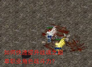 如何快速提升战魂之巅单职业角色战斗力? 如何快速提升战魂之巅单职业角色战斗力?