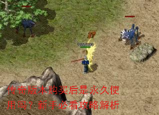传奇版本购买后是永久使用吗?新手必看攻略解析 传奇版本购买后是永久使用吗?新手必看攻略解析