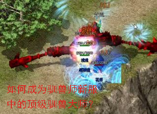 ��γ�Ϊѱ��ʦ�·��еĶ���ѱ�޴�ʦ��