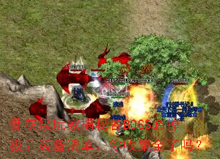 �ǻҼ���ҽ��ظ�BOSS�ص���Ʒװ���嵥�����ռ�ȫ����