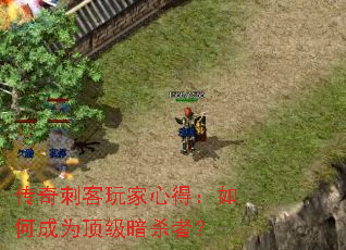 传奇刺客玩家心得:如何成为顶级暗杀者? 传奇刺客玩家心得:如何成为顶级暗杀者?