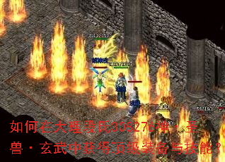 ����ڴ�������308276��ʥ�ޡ������л�ö���װ���뼼�ܣ�