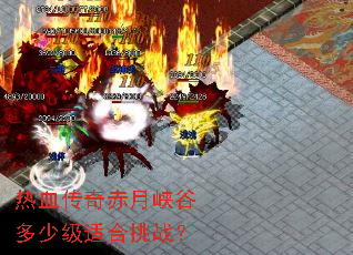 ��Ѫ�������Ͽ�ȶ��ټ��ʺ���ս��