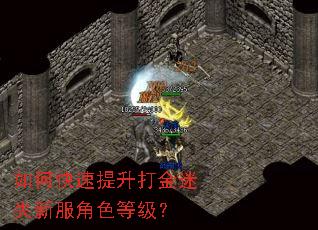 如何快速提升打金迷失新服角色等级? 如何快速提升打金迷失新服角色等级?