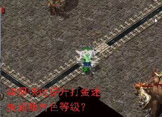 如何快速提升打金迷失新服角色等级? 如何快速提升打金迷失新服角色等级?