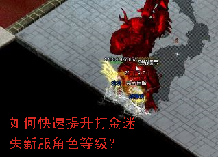 如何快速提升打金迷失新服角色等级? 如何快速提升打金迷失新服角色等级?
