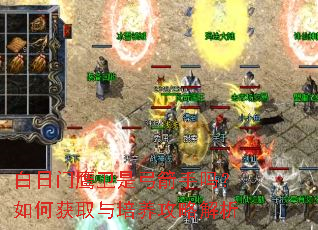 白日门鹰卫是弓箭手吗?如何获取与培养攻略解析 白日门鹰卫是弓箭手吗?如何获取与培养攻略解析