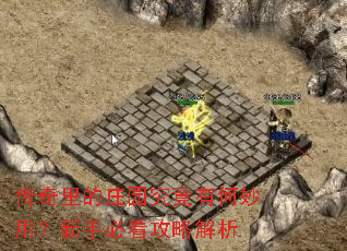传奇里的庄园究竟有何妙用?新手必看攻略解析 传奇里的庄园究竟有何妙用?新手必看攻略解析