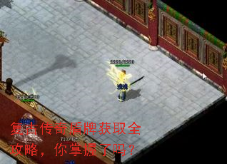 ���Ŵ�����ƻ�ȡȫ���ԣ�����������