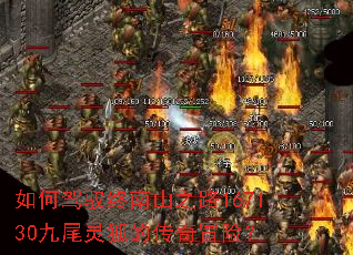 如何驾驭终南山之路167130九尾灵狐的传奇冒险? 如何驾驭终南山之路167130九尾灵狐的传奇冒险?