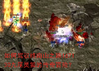 如何驾驭终南山之路167130九尾灵狐的传奇冒险? 如何驾驭终南山之路167130九尾灵狐的传奇冒险?