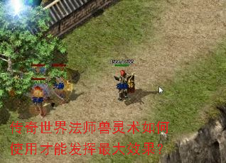 传奇世界法师兽灵术如何使用才能发挥最大效果? 传奇世界法师兽灵术如何使用才能发挥最大效果?
