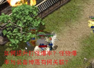 如何提升打怪爆率?怪物爆率与装备掉落有何关联? 如何提升打怪爆率?怪物爆率与装备掉落有何关联?
