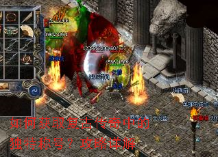��λ�ȡ���Ŵ����еĶ��سƺţ��������