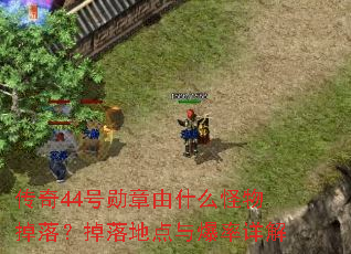 传奇44号勋章由什么怪物掉落?掉落地点与爆率详解 传奇44号勋章由什么怪物掉落?掉落地点与爆率详解