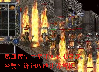 ��Ѫ�������������ȡ�ϻ������ϸ���Բ������