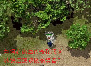 如何在热血传奇私服商城快速获取极品装备? 如何在热血传奇私服商城快速获取极品装备?