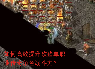 如何高效提升砍猪单职业传奇角色战斗力? 如何高效提升砍猪单职业传奇角色战斗力?