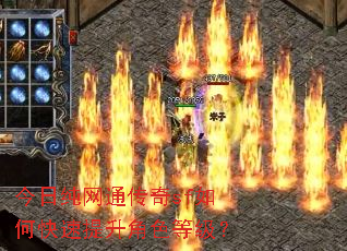 今日纯网通传奇sf如何快速提升角色等级? 今日纯网通传奇sf如何快速提升角色等级?