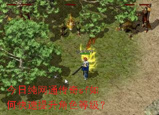 今日纯网通传奇sf如何快速提升角色等级? 今日纯网通传奇sf如何快速提升角色等级?