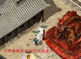 传奇新服新手如何快速提升等级? 传奇新服新手如何快速提升等级?