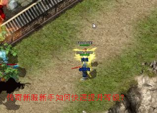 传奇新服新手如何快速提升等级? 传奇新服新手如何快速提升等级?