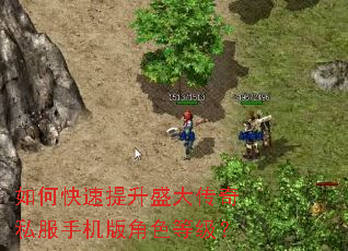 如何快速提升盛大传奇私服手机版角色等级? 如何快速提升盛大传奇私服手机版角色等级?