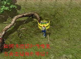 如何快速提升传奇复古合击版角色等级? 如何快速提升传奇复古合击版角色等级?