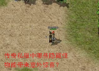 传奇私服中哪些隐藏怪物能带来意外惊喜? 传奇私服中哪些隐藏怪物能带来意外惊喜?