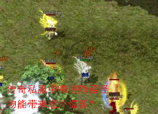 传奇私服中哪些隐藏怪物能带来意外惊喜? 传奇私服中哪些隐藏怪物能带来意外惊喜?