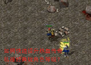 如何快速提升热血传奇私服经典版角色等级? 如何快速提升热血传奇私服经典版角色等级?