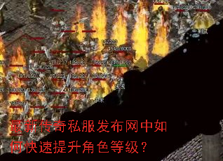 最新传奇私服发布网中如何快速提升角色等级? 最新传奇私服发布网中如何快速提升角色等级?
