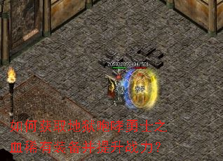 如何获取地狱咆哮勇士之血稀有装备并提升战力? 如何获取地狱咆哮勇士之血稀有装备并提升战力?