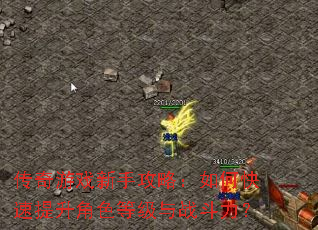 传奇游戏新手攻略:如何快速提升角色等级与战斗力? 传奇游戏新手攻略:如何快速提升角色等级与战斗力?