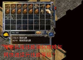 传奇私服技能强化攻略如何快速提升技能等级? 传奇私服技能强化攻略如何快速提升技能等级?