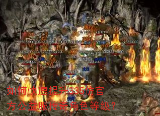 如何快速提升335仿官方公益服传奇角色等级? 如何快速提升335仿官方公益服传奇角色等级?
