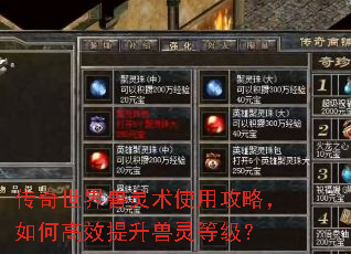 传奇世界兽灵术使用攻略,如何高效提升兽灵等级? 传奇世界兽灵术使用攻略,如何高效提升兽灵等级?