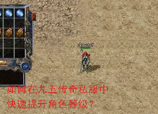 如何在九五传奇私服中快速提升角色等级? 如何在九五传奇私服中快速提升角色等级?