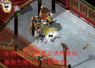 如何快速提升年公测传奇私服角色等级与装备战力? 如何快速提升年公测传奇私服角色等级与装备战力?