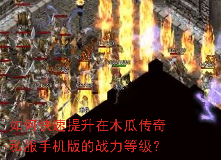 如何快速提升在木瓜传奇私服手机版的战力等级? 如何快速提升在木瓜传奇私服手机版的战力等级?