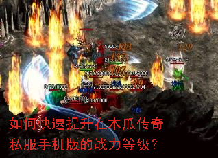 如何快速提升在木瓜传奇私服手机版的战力等级? 如何快速提升在木瓜传奇私服手机版的战力等级?