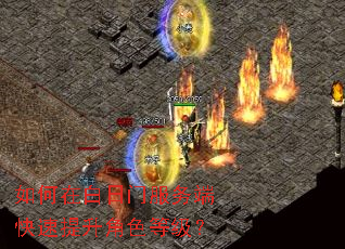 如何在白日门服务端快速提升角色等级? 如何在白日门服务端快速提升角色等级?