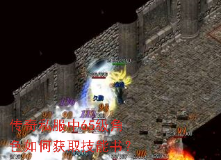 传奇私服中65级角色如何获取技能书? 传奇私服中65级角色如何获取技能书?