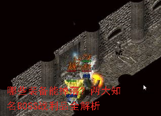 哪些装备能掉落?两大知名BOSS战利品全解析 哪些装备能掉落?两大知名BOSS战利品全解析