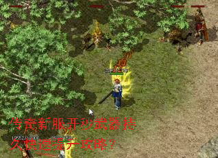 传奇新服开秒武器持久快速提升攻略? 传奇新服开秒武器持久快速提升攻略?