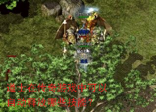 道士在传奇游戏中可以自动释放哪些技能? 道士在传奇游戏中可以自动释放哪些技能?
