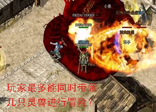 玩家最多能同时带领几只灵兽进行冒险? 玩家最多能同时带领几只灵兽进行冒险?