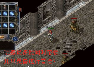 玩家最多能同时带领几只灵兽进行冒险? 玩家最多能同时带领几只灵兽进行冒险?